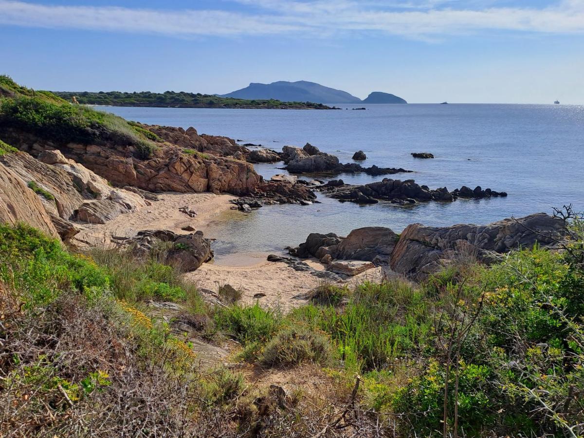 Home On Sardinia Beach Olbia Exterior photo